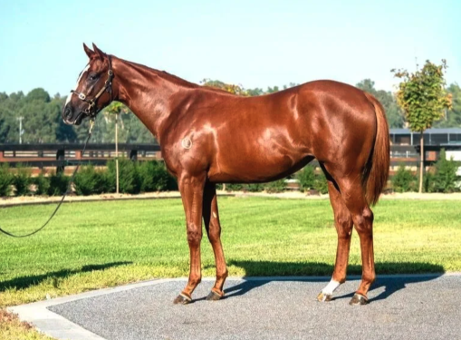 Latest Weekly Listings – The Autumn Sun, Hellbent and Lucky Vega